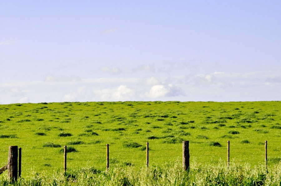 Campo, Verde, Paisagem, Rural, Ninguém, Cerca, Dia, Verão,