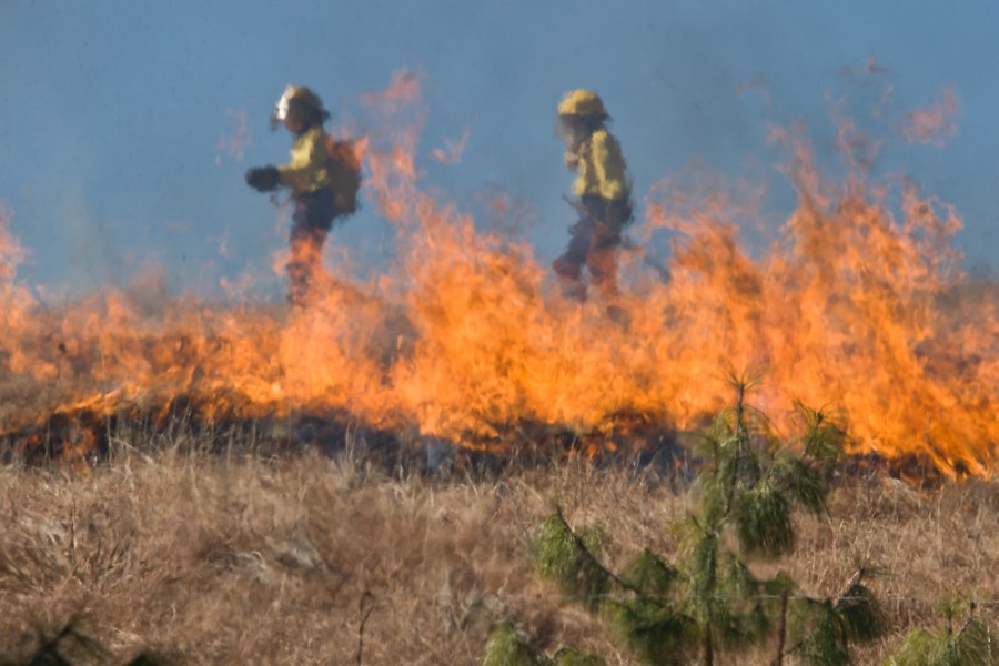 duas pessoas, pessoas, bombeiro, bombeiros, fogo, natureza, campo, fogo, perigo, risco, profissão, fora,