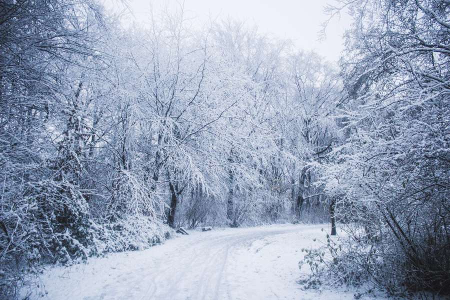 rua, luz, branco, congelado, natureza, neve, neve, férias, frio, floresta, montanha, árvore, inverno, romântico, velocidade, transporte, transporte, escuridão, janeiro, noite, pessoas, noite, idílico, esqui, suíço, asfalto, natal, país, feriado, casa, gelo, resort, estrada, céu, suíça, cidade, madeira, alpino, Alpes, arquitetura, plano de fundo, bela, construção, cidade, europa, paisagem, ao ar livre, estação, turismo, para viajar
