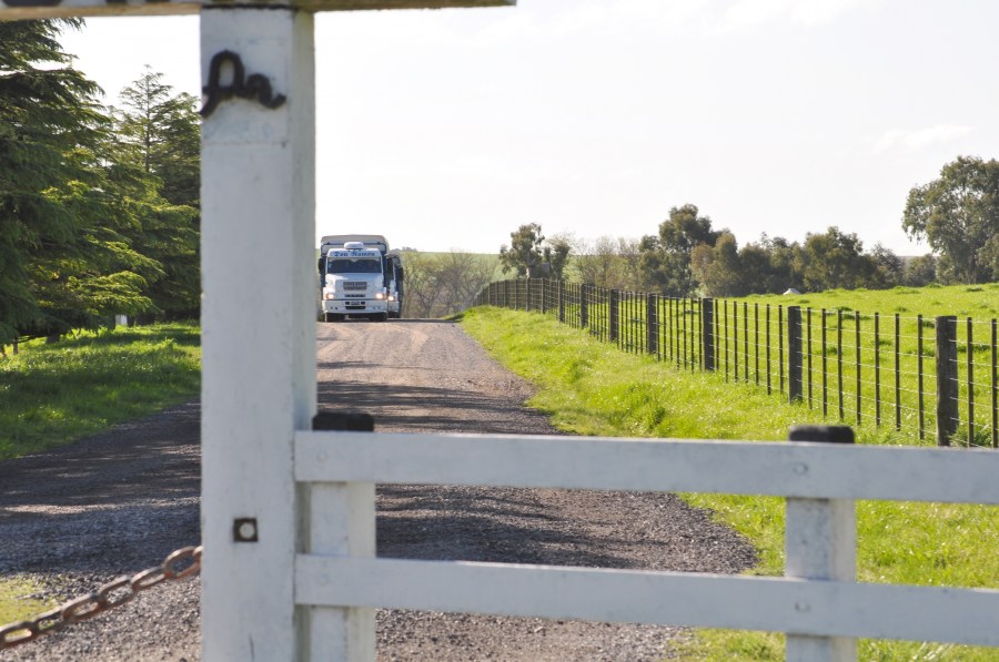 Tranquera, Portões, Fazenda, Campo, Madeira, Crepúsculo, Dia, Cena, Rural, Paisagem, Abra, Caminhão, Transporte,