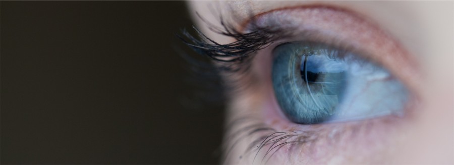 olho, mulher, olhar, cinzento, olhos, luz azul, cinzento, detalhe, íris, primeiro plano, uma pessoa,