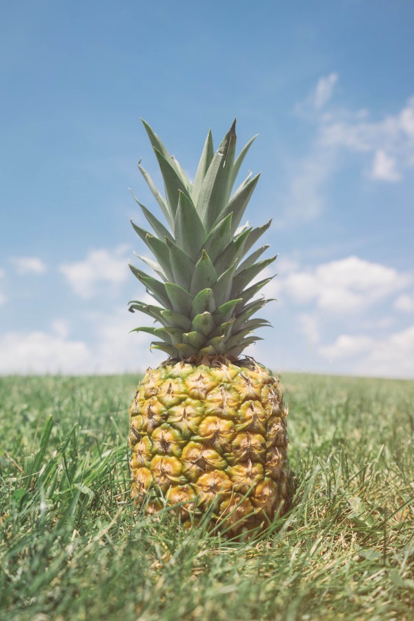 abacaxi, frutas, frutas, frescas, tropicais, refeições, anana, maduro, maduro, close-up,