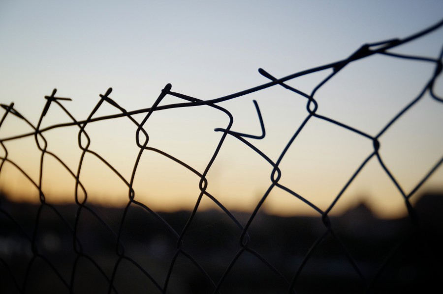 wire, prendido, field, crepúsculo, antecedentes, antecedentes, limit,