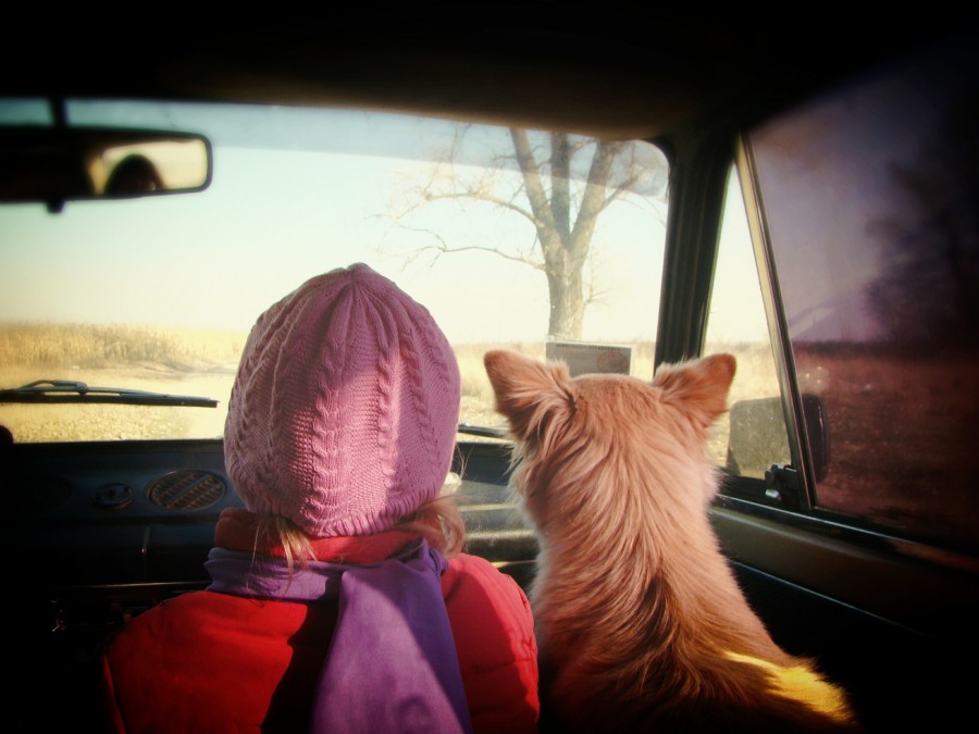 bebê, menina, cão, velho, máquina, amizade, estrada, abrigado, frio, viagens, passeio, rota, amigos, animal de estimação, animais carro, interior, menina, companhia amor animal