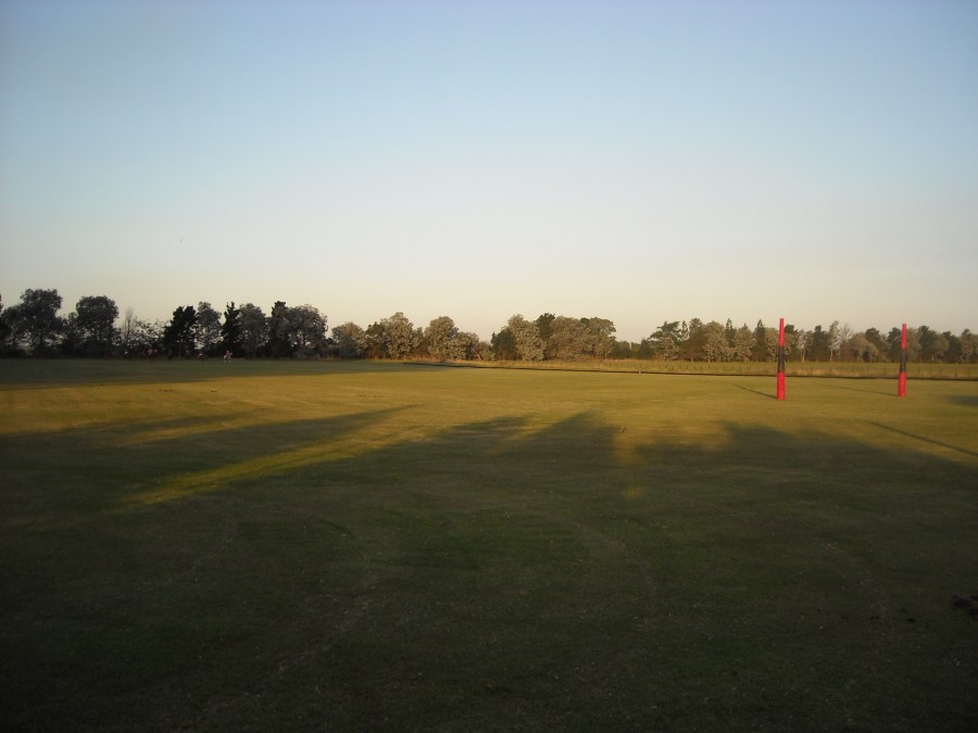 polo esportivo