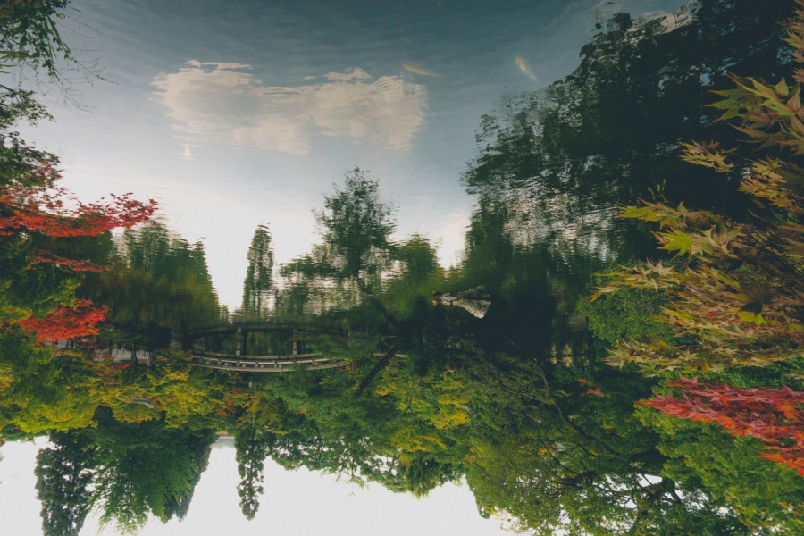 paisagem, rio, japão, ásia, invertido, reflexão, natureza