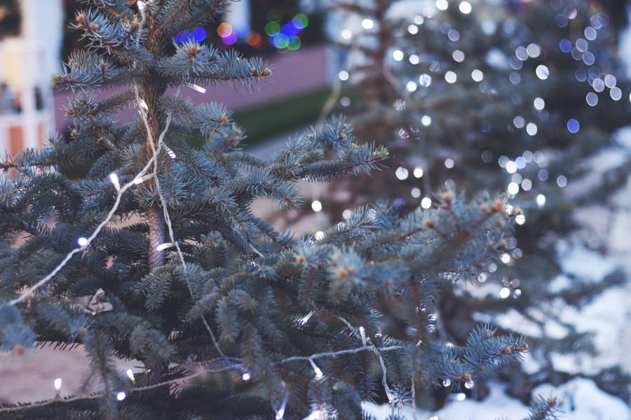 natal, detalhe, ornamento, natal, natal, decoração, celebração, 2015, celebração, árvore de natal, árvore,