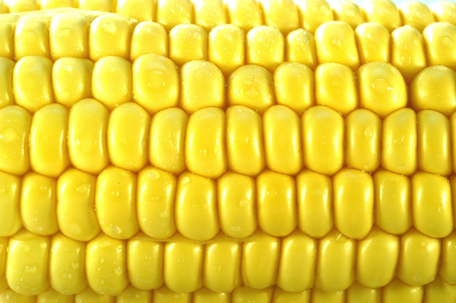 Milho, Milho, Grão, Alimentação Saudável, Legumes, Pratos Vegetarianos, Amarelo, Parte de, Ninguém,
