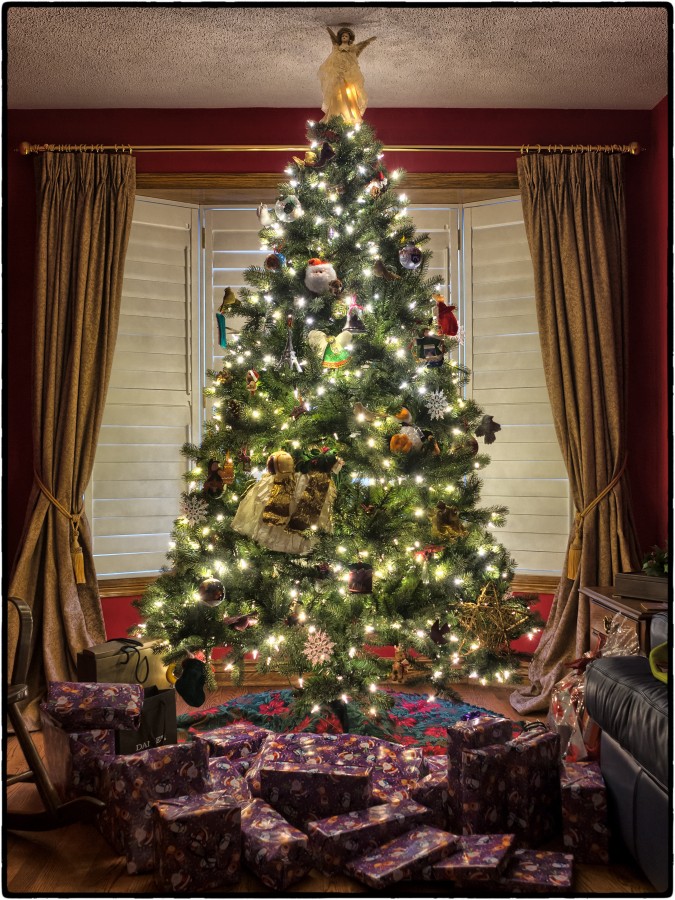 Natal, árvore, natal, interior, iluminado, árvore, natal, luzes
