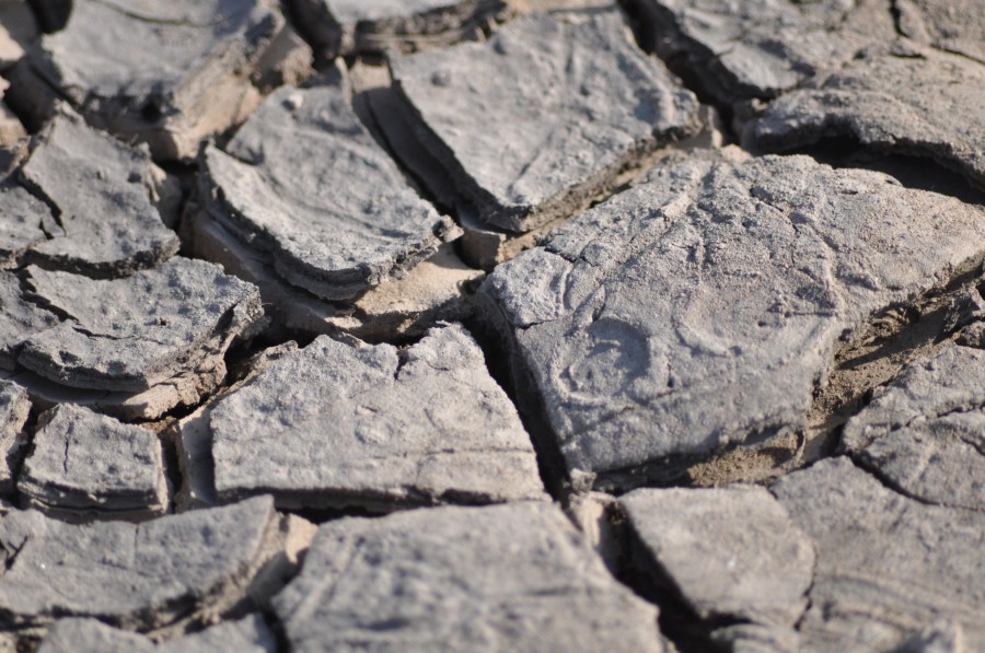 Textura, Texturas, Terra, Seca, Batata frita, Rachada, Clima árido, Terrain, Marrom, Rachada, Paisagem árida, Planos de fundo, Seca