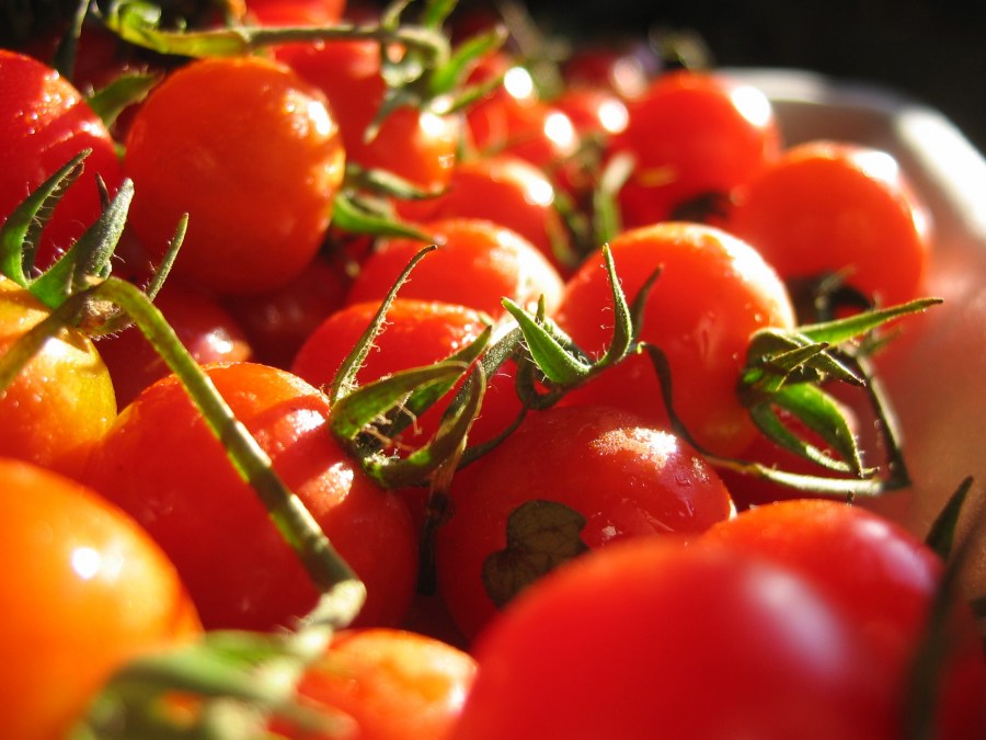 tomate, tomates, frutas, legumes, vermelho, ingrediente, vista dianteira, refeições, ninguém,