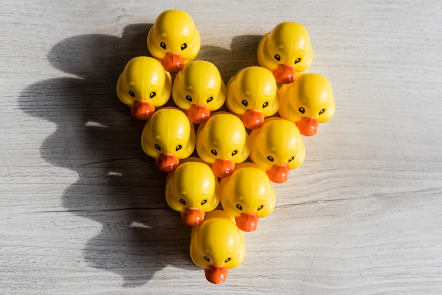 conceito, amarelo, brinquedo, brinquedos, patinhos, pato, careta, caretas, treinamento, linha, coração,