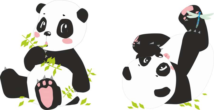 pandas, urso, libélula, bambu, bambu, preto, branco, ásia, verde, bonito, bebê, bonito, animais fofos, natureza animais, sentado, papéis de parede kawaii
