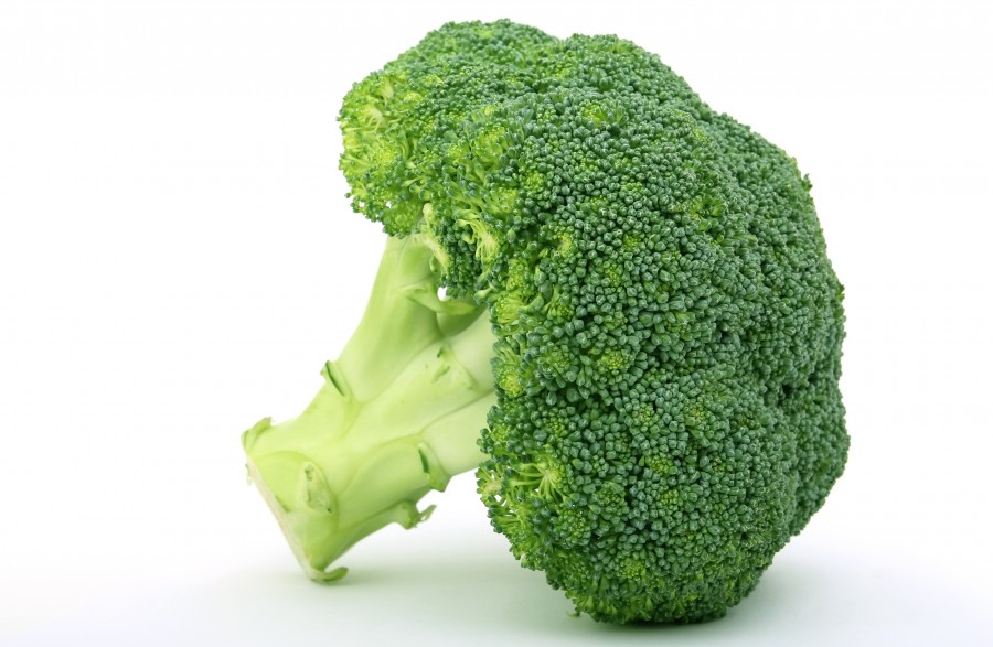 brócolis, vegetal, vegetal, fundo branco, verde, verde, refeições,