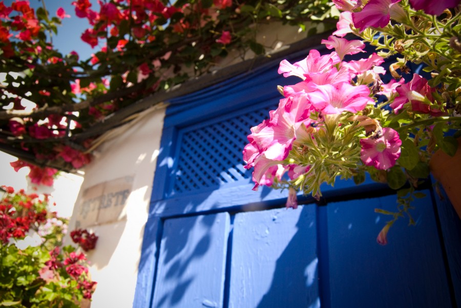 portas, primavera, azul, casa, entrada, paredes, arquitetura, flor, flores, fachada,