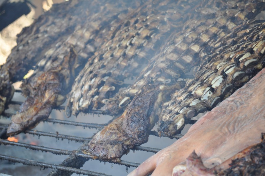 Assado, Grelha, Grelha, Comida Típica, Tradição, Campo, Carne, Costela, Ribs, EmbersCozinhado, Quente, Gordura