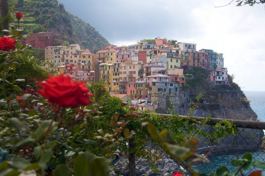 Manarola e rosa, Manarola, Pueblo, cidade, Liguria, Itália, Europa, arquitetura, dia, Costa, montanha,