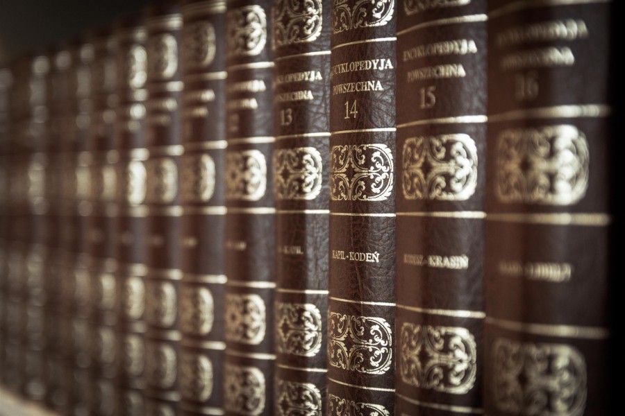 biblioteca, livro, livros, interior, ninguém, conhecimento, prateleira, velho, antigo, linha, limite, couro, elegante, linha,