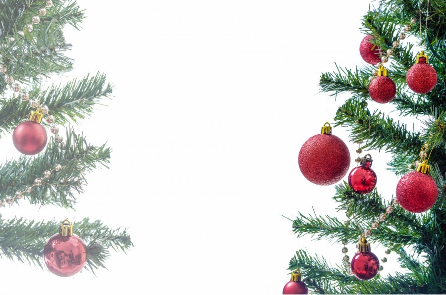 natal, detalhe, ornamento, natal, decoração, celebração, 2015, celebração, fundo branco, árvore de natal, árvore,