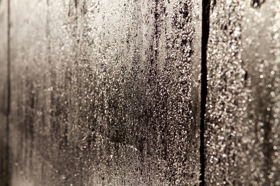 textura, paredes, molhado, molhado, parede, cimento, fundo, fundo,