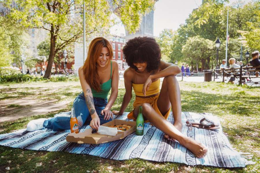 piquenique, parque, feliz, estilo de vida, jovem, dois, mulher, juntos, verão, amor, família, fêmea, pessoas, ao ar livre, caucasiano, felicidade, natureza, bela, casal, relaxamento, adulto, menina, lazer, cesta, diversão, sorrindo, sorriso, grama, sentado, masculino, alegria, alegre, comida, ao ar livre, romântico, amizade, mãe, cobertor, união, casual, dia, pessoa, criança, pai, romance, namoro, bebida, tendo, verde