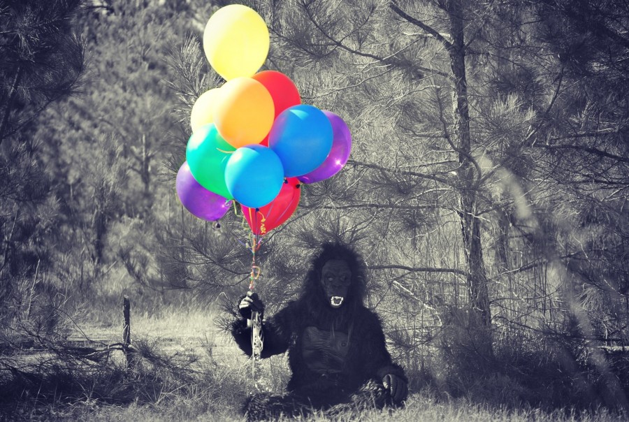 Gorila, macaco, engraçado, balão, balões, estranho, conceito, piada, fantasia,
