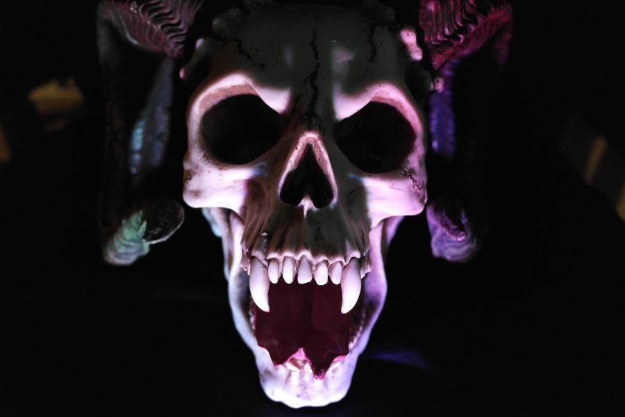 monstro, terror, caveira, presas, esquisito, morte, medo, halloween, diabólico,