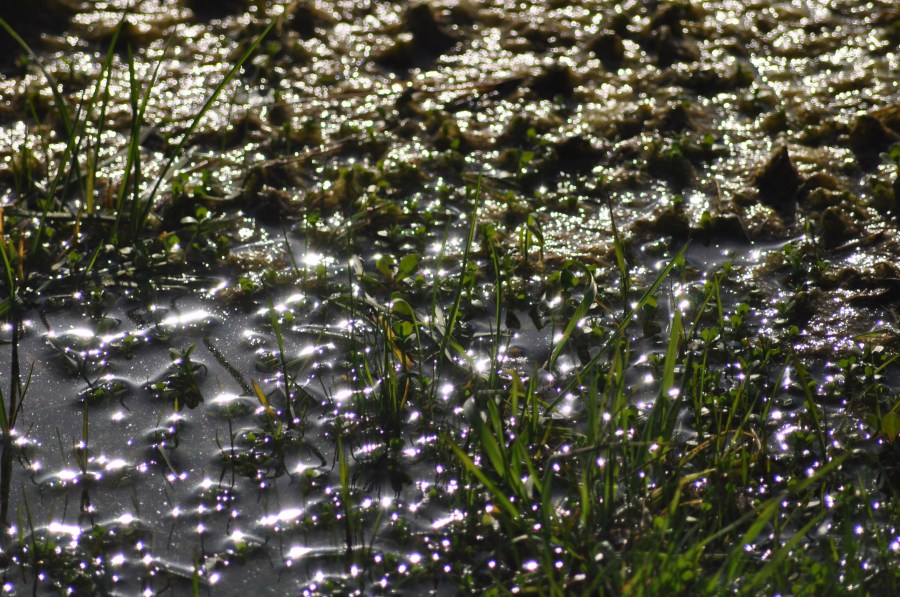 Textura, texturas, água, reflexão, lago