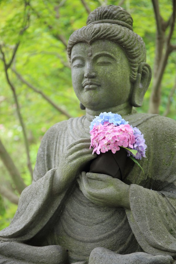 buda, estátua, templo, primavera, flor, flores, buquê, paz, meditação, serenidade, sereno,
