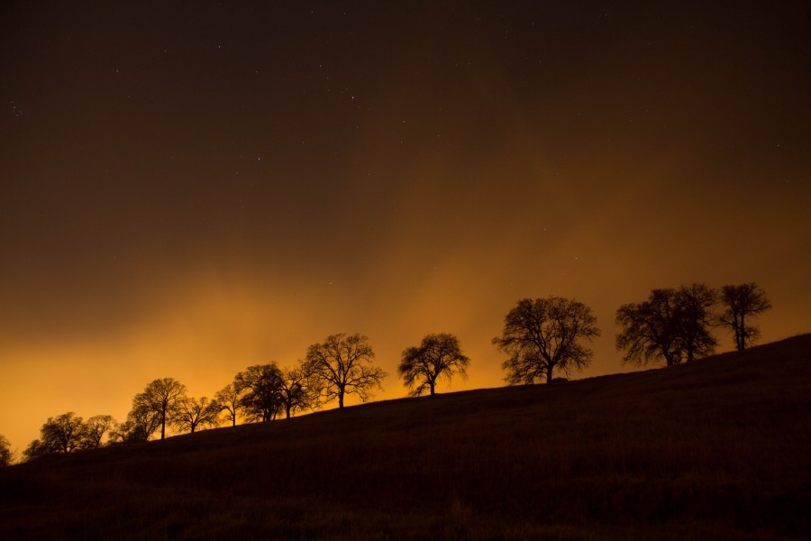 campo, árvores, ninguém, pôr do sol, silueta, sombra, escuro, árvore, laranja, céu, pôr do sol, pôr do sol,
