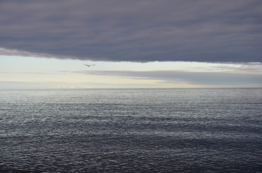 pôr do sol, pôr do sol, horizonte, nuvens, nuvem, puerto madryn, dia, praia, costa, céu, argentina, chubut, paisagem, gaivota, pássaro, pássaro, voador, voar,