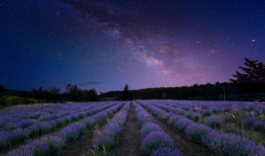 galáxia, estrela, noite, céu, astronomia, natureza, plano de fundo, nebulosa, ciência, maneira, Via Láctea, espaço, escuro, paisagem, montanha, viagem, constelação, leitosa, planeta, astrofotografia, luz, beleza, azul, verão, admiração , cósmico, cosmos, brilhante, universo, espaço sideral, sagitário, exposição, longo, oceano, aventura, preto, claro, campo, praia, bela, penhasco, colina, ao ar livre, mar, estranho, profundo, distante, poeira, exploração
