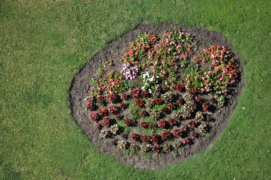 Mar del plata, buenos aires, argentina, jardim, verde, vista, de cima