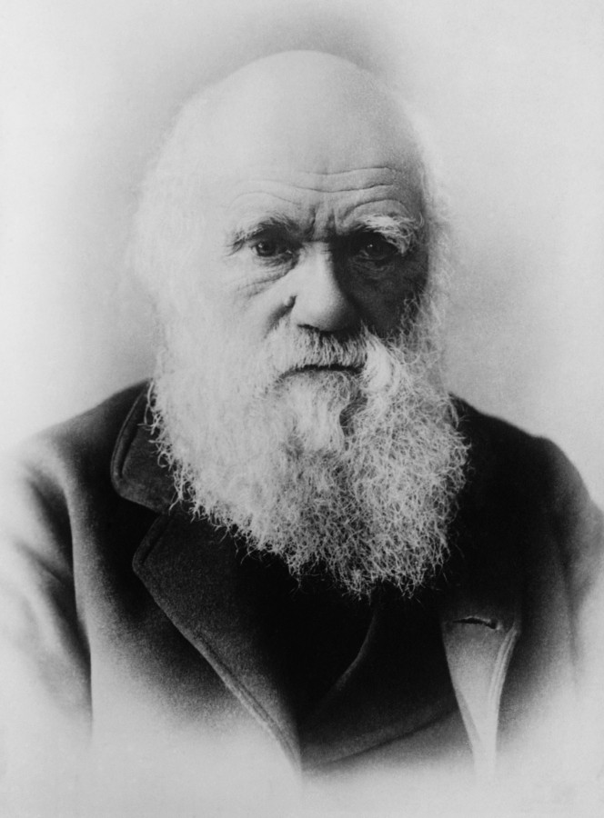 Charles Darwin Charles Darwin, ciência, evolução, cientista, 1800, personalidade, preto e branco,