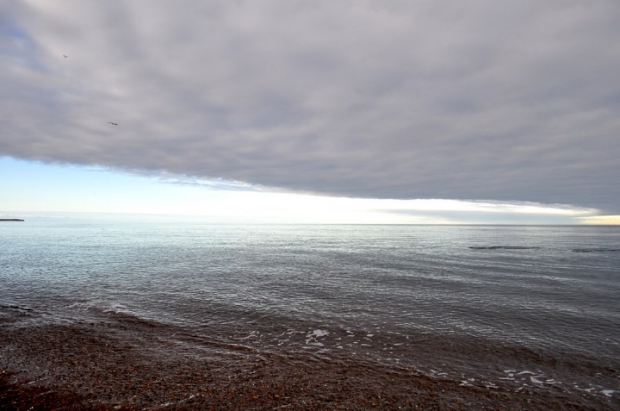 pôr do sol, pôr do sol, horizonte, nuvens, nuvem, puerto madryn, dia, praia, costa, céu, argentina, chubut, paisagem, natureza, fundo, nublado,