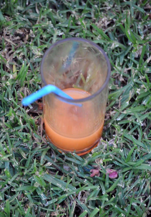 Campari, laranja, bebida, bebidas, álcool