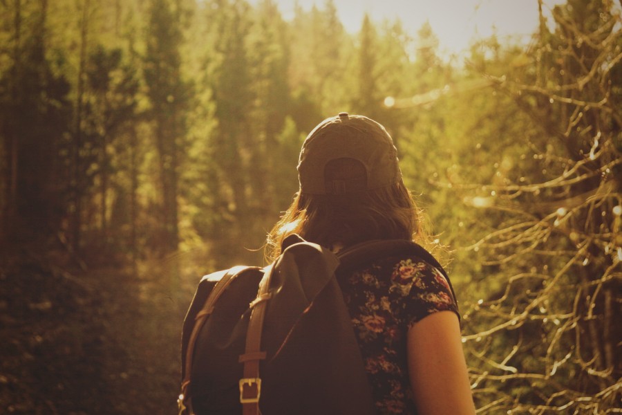 trekking, caminhadas, esportes, equilíbrio, árvore, floresta, paisagem, natureza, uma pessoa, pessoas, homem, férias, viagens, viagens, mulher, jovem, mochila, hd wallpapers, 4k wallpapers