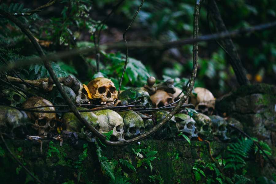 dia das bruxas, crânio, assustador, horror, assustador, morte, morto, esqueleto, cabeça, mal, plano de fundo, humano, osso, assustador, símbolo, feriado, pilha, rosto, medo, velho, decoração, escuro, cadáver, preto, outubro, ilustração, gótico, crânios, cemitério, outono, pilha, mistério, festa, ossos, assombrado, fantasma, pilha, conceito, tumba, sepultura, padrão, closeup, vida, laranja, monstro, celebração, crânio, abstrato, 3d, cemitério