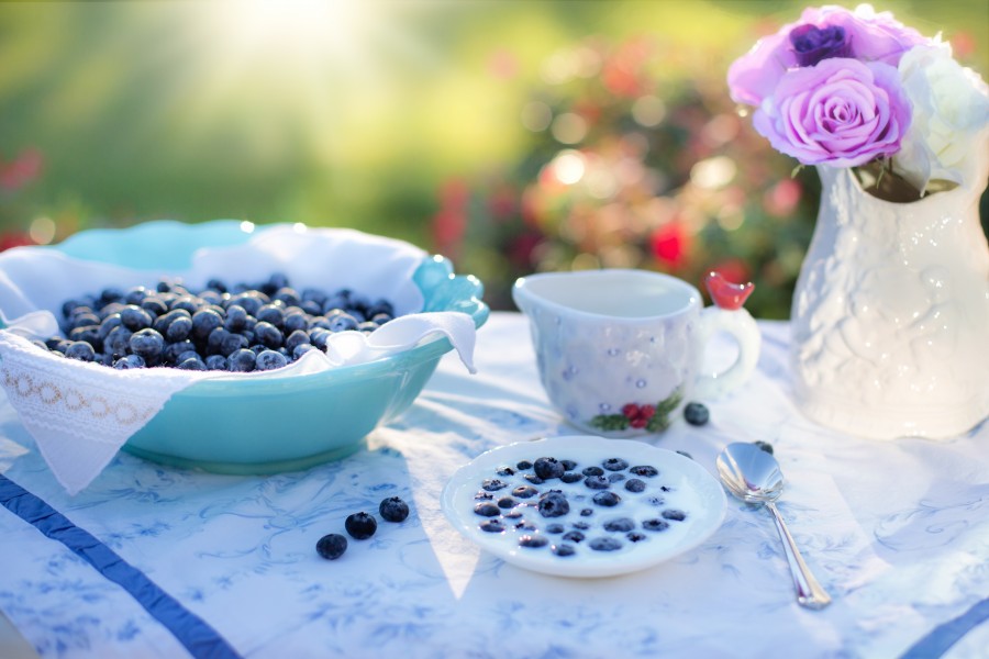 mirtilos, creme, sobremesa, café da manhã, mirtilo, comida, frutas, delicioso, refeições, saudável, dieta, lanche, saboroso, doce, alimentos e bebidas, decoração