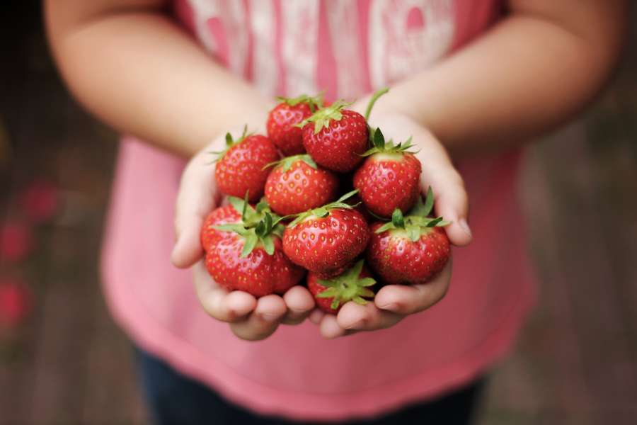 morangos, fruta, mulher, vermelho, alimento, saudável, fresco, punhado,