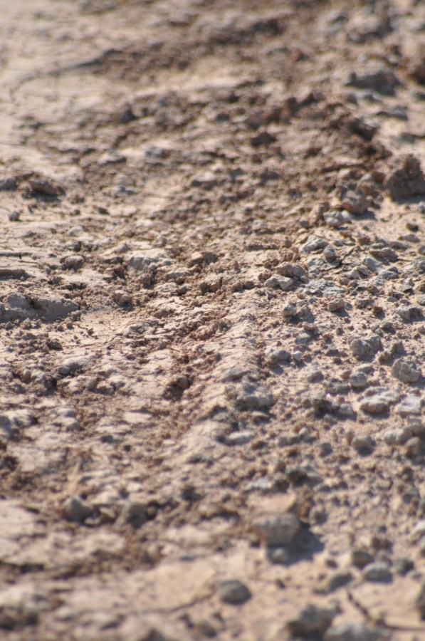 Textura, Texturas, Terra, Seca, Batata frita, Rachada, Clima árido, Terrain, Marrom, Rachada, Paisagem árida, Planos de fundo, Seca