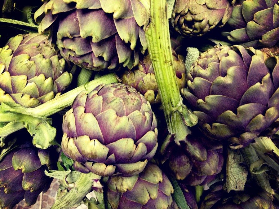 alcachofra, alcachofra, legumes, alimentos saudáveis, orgânicos, verdureiro, legumes, nutrientes, legumes, vegetal
