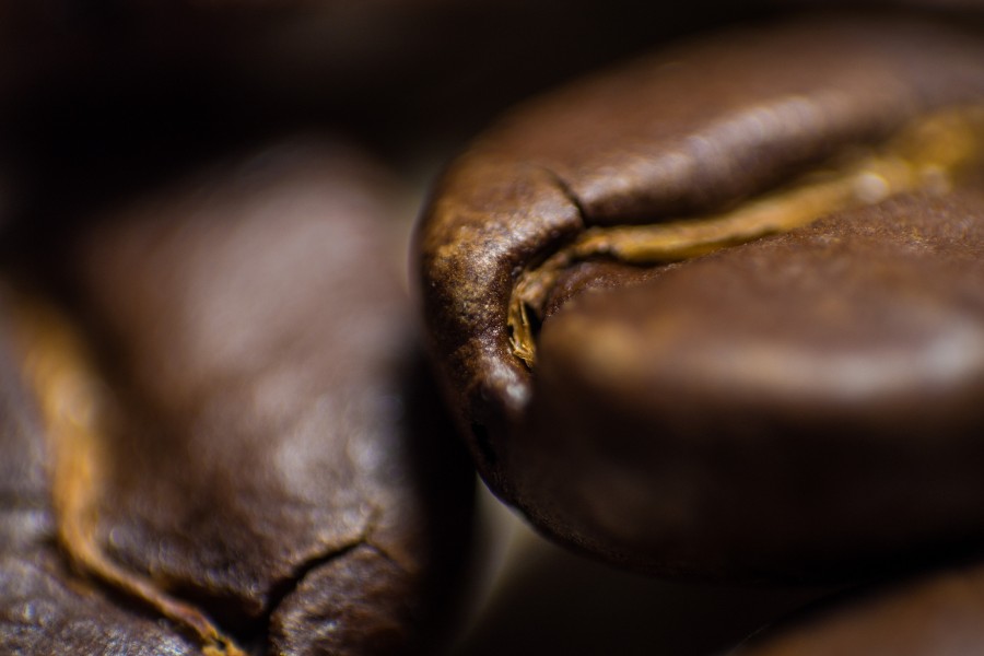 café, grão, café, close-up, detalhe,
