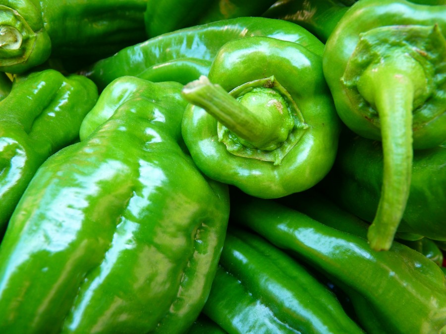 pimenta, pimentão, verde, doce, vegetal, legumes,