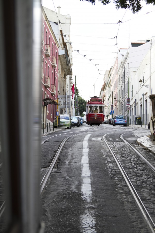 Bonde, rua, lisboa, portugal, europa, dia, transporte,