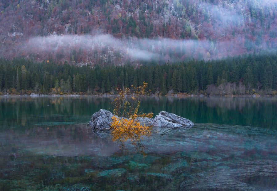 nevoeiro, lago, nobody, rocha, transparente, water, landscape, under, concept, nobody,