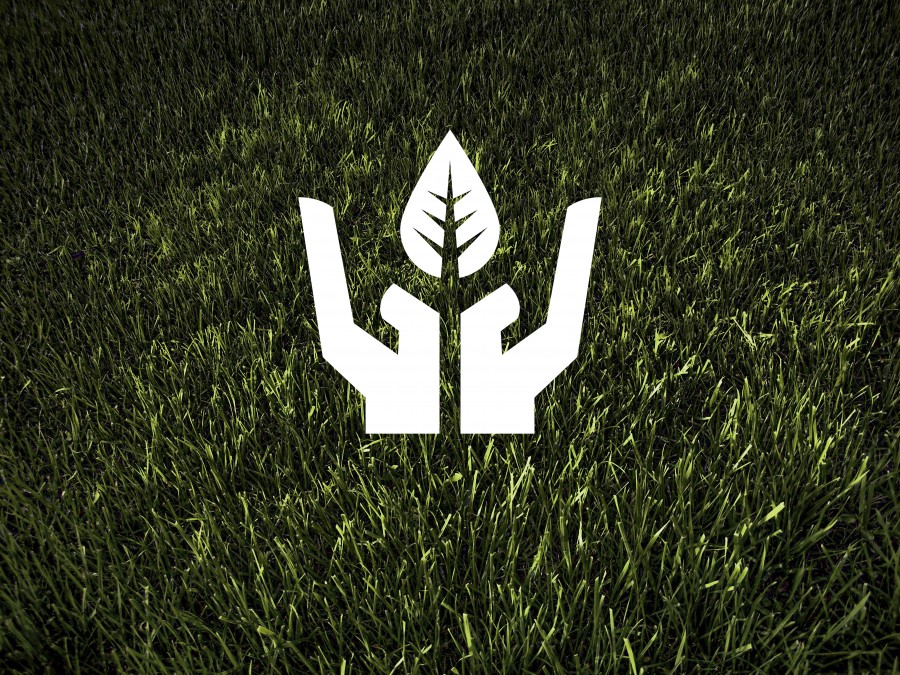 Ecologia, Meio ambiente, Reciclagem, Sustentabilidade, Resíduos, Reutilização, Planta