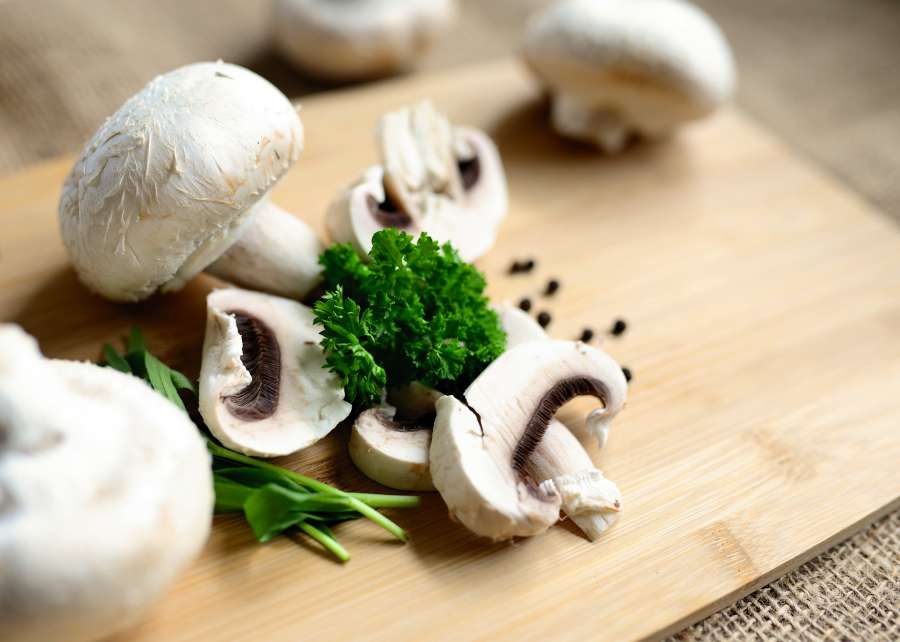 cogumelo, alimentos, plano de fundo, orgânico, projeto, ingrediente, arte, vegetariano, isolado, natural, vetorial, comestível, ilustração, natureza, floresta, cogumelos, fresco, gráfico, champignon, planta, fungos, vegetal, desenhos animados, saudável, fungo, colorido, branco, cru, delicioso, outono, desenho, colheita, marrom, retro, mágica, nutrição, imprimir, resumo, dieta, cozinha, amanita, closeup, cartaz, saboroso, vintage, inteiro, conjunto, objeto, estação, comer
