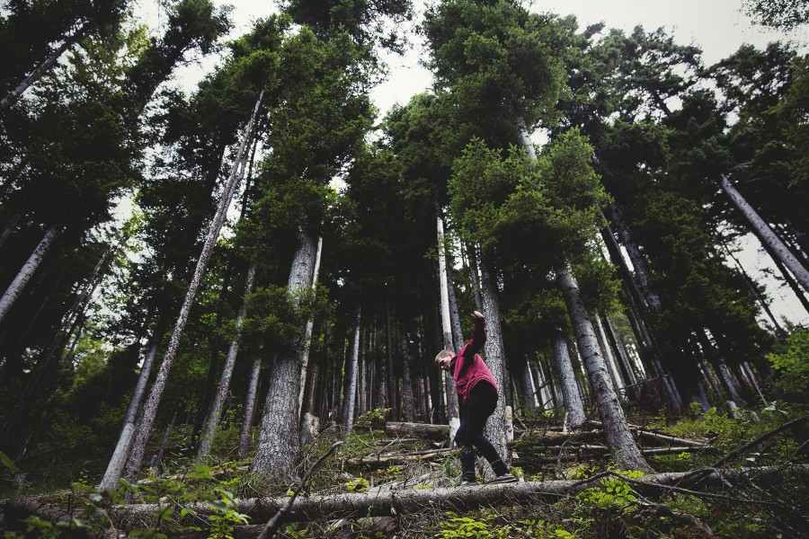 Trekking, Caminhadas, Esportes, Equilíbrio, Árvore, Floresta, Paisagem, Natureza, Uma pessoa, Pessoas, Homem, Férias, Viagens, Viagens,