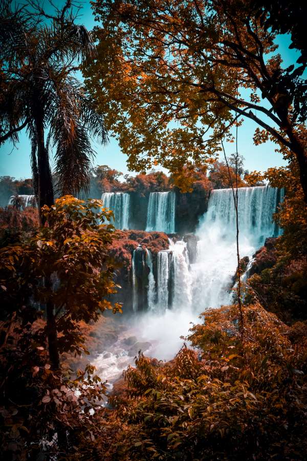 brasil, rio, argentina, água, iguazu, natureza, cachoeira, turismo, viagem, paisagem, parque, selva, tropical, verde, iguaçu, cascata, bela, unesco, natural, maravilha, misiones, floresta tropical, brasileira, américa, fluxo, vista, nacional, famoso, sul, quedas, parana, outono, floresta, céu, espetacular, iguassu, cenário, mundo, américa do sul, exótico, catarata, latim, iguasu, aventura, azul, ao ar livre, cataratas, nuvens
